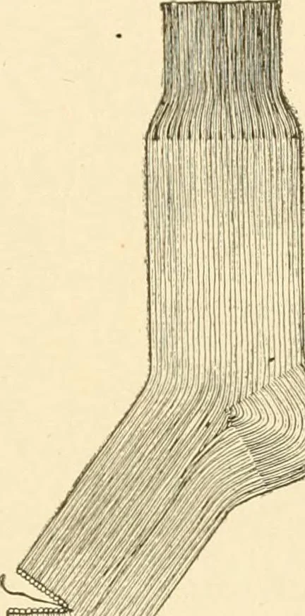 An illustration from Cyclopedia of textile work : a general reference library on cotton, woollen and worsted yarn manufacture, weaving, designing, chemistry and dyeing, finishing, knitting, and allied subjects, 1907, leaf 247