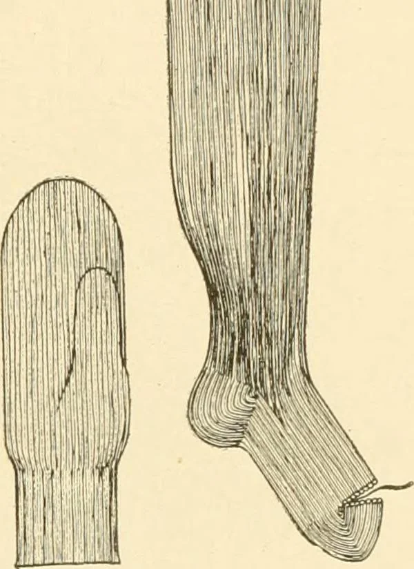 An illustration from Cyclopedia of textile work : a general reference library on cotton, woollen and worsted yarn manufacture, weaving, designing, chemistry and dyeing, finishing, knitting, and allied subjects, 1907, leaf 247