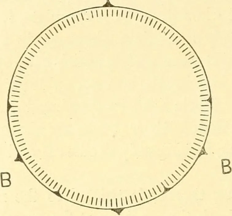 An illustration from Cyclopedia of textile work : a general reference library on cotton, woollen and worsted yarn manufacture, weaving, designing, chemistry and dyeing, finishing, knitting, and allied subjects, 1907, leaf 276