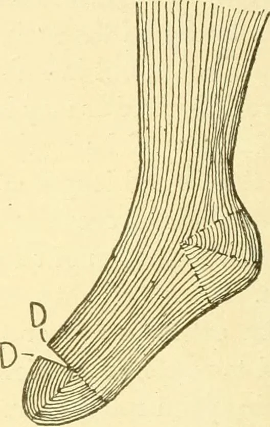 An illustration from Cyclopedia of textile work : a general reference library on cotton, woollen and worsted yarn manufacture, weaving, designing, chemistry and dyeing, finishing, knitting, and allied subjects, 1907, leaf 276