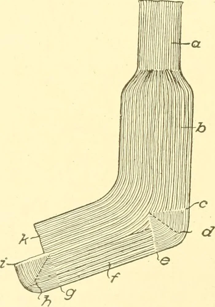An illustration from Cyclopedia of textile work : a general reference library on cotton, woollen and worsted yarn manufacture, weaving, designing, chemistry and dyeing, finishing, knitting, and allied subjects, 1907, leaf 300