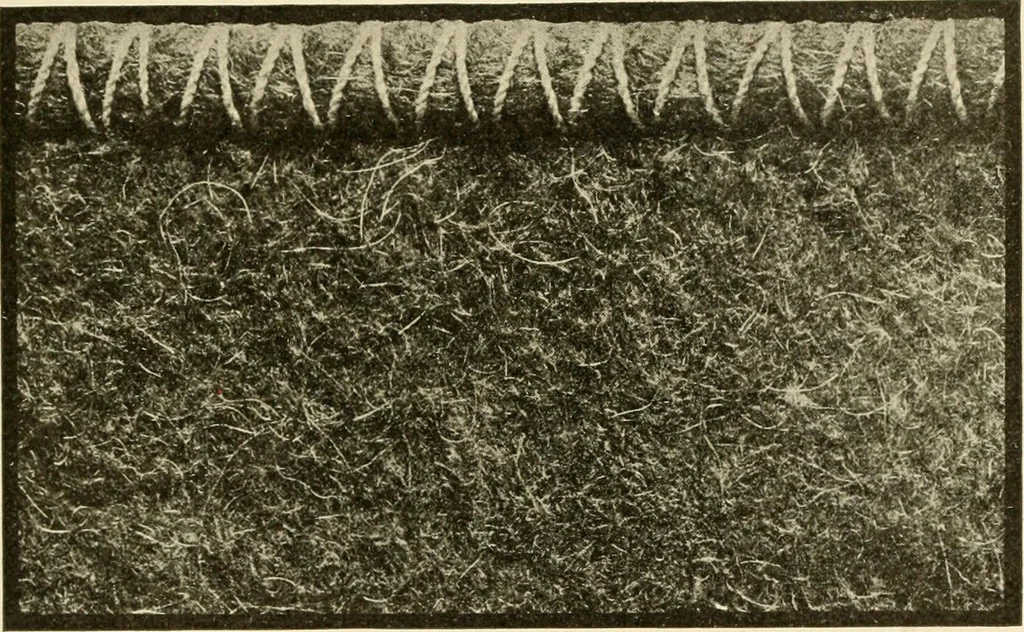 An illustration from Cyclopedia of textile work : a general reference library on cotton, woollen and worsted yarn manufacture, weaving, designing, chemistry and dyeing, finishing, knitting, and allied subjects, 1907, leaf 365