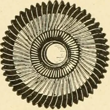An illustration from Cyclopedia of textile work : a general reference library on cotton, woollen and worsted yarn manufacture, weaving, designing, chemistry and dyeing, finishing, knitting, and allied subjects, 1907, leaf 67