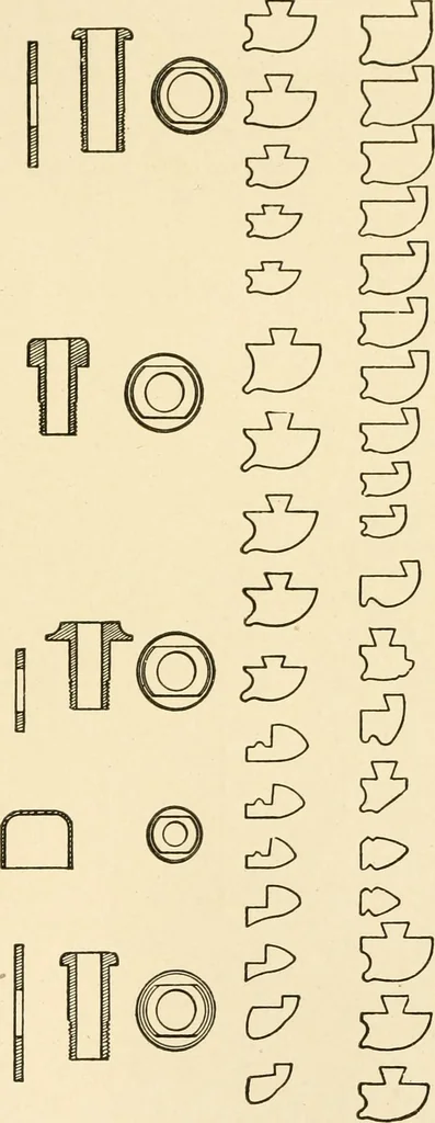 An illustration from Cyclopedia of textile work : a general reference library on cotton, woollen and worsted yarn manufacture, weaving, designing, chemistry and dyeing, finishing, knitting, and allied subjects, 1907, leaf 71