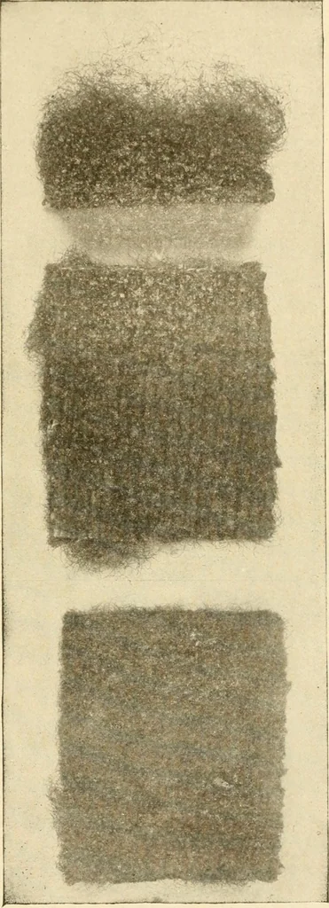 An illustration from Cyclopedia of textile work : a general reference library on cotton, woollen and worsted yarn manufacture, weaving, designing, chemistry and dyeing, finishing, knitting, and allied subjects, 1907, leaf 99