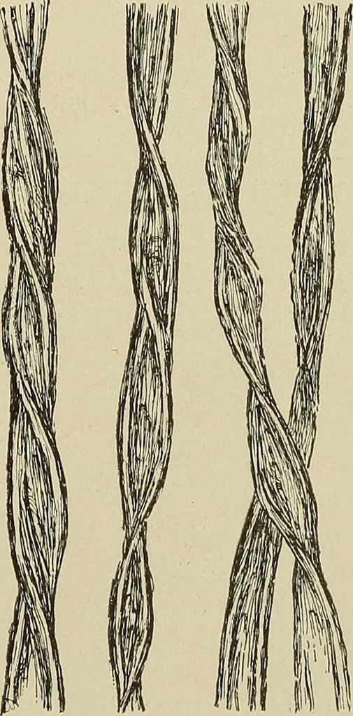 An illustration from Cyclopedia of textile work : a general reference library on cotton, woolen and worsted yarn manufacture, weaving, designing, chemistry and dyeing, finishing, knitting, and allied subjects, 1911, leaf 21