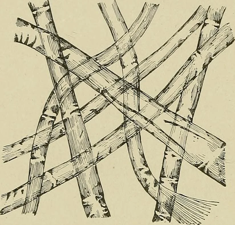 An illustration from Cyclopedia of textile work : a general reference library on cotton, woolen and worsted yarn manufacture, weaving, designing, chemistry and dyeing, finishing, knitting, and allied subjects, 1911, leaf 38