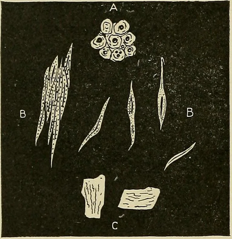 An illustration from Cyclopedia of textile work : a general reference library on cotton, woolen and worsted yarn manufacture, weaving, designing, chemistry and dyeing, finishing, knitting, and allied subjects, 1911, leaf 40