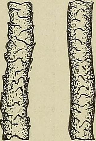 An illustration from Cyclopedia of textile work : a general reference library on cotton, woolen and worsted yarn manufacture, weaving, designing, chemistry and dyeing, finishing, knitting, and allied subjects, 1911, leaf 41