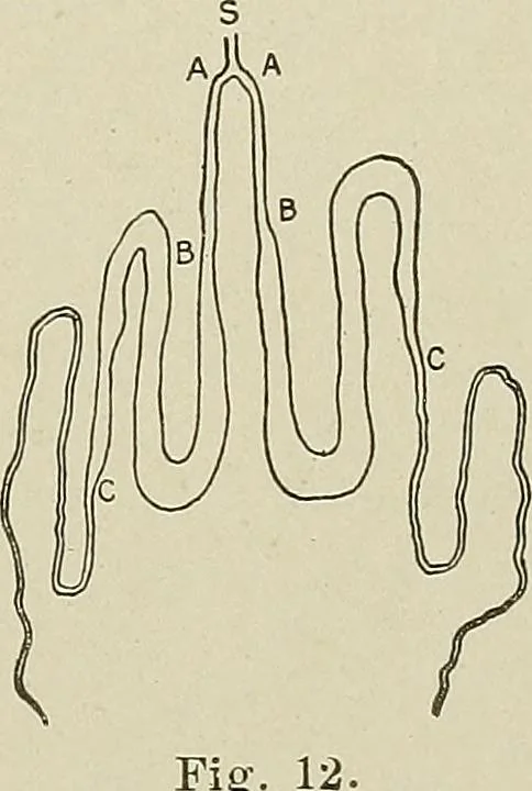 An illustration from Cyclopedia of textile work : a general reference library on cotton, woolen and worsted yarn manufacture, weaving, designing, chemistry and dyeing, finishing, knitting, and allied subjects, 1911, leaf 51