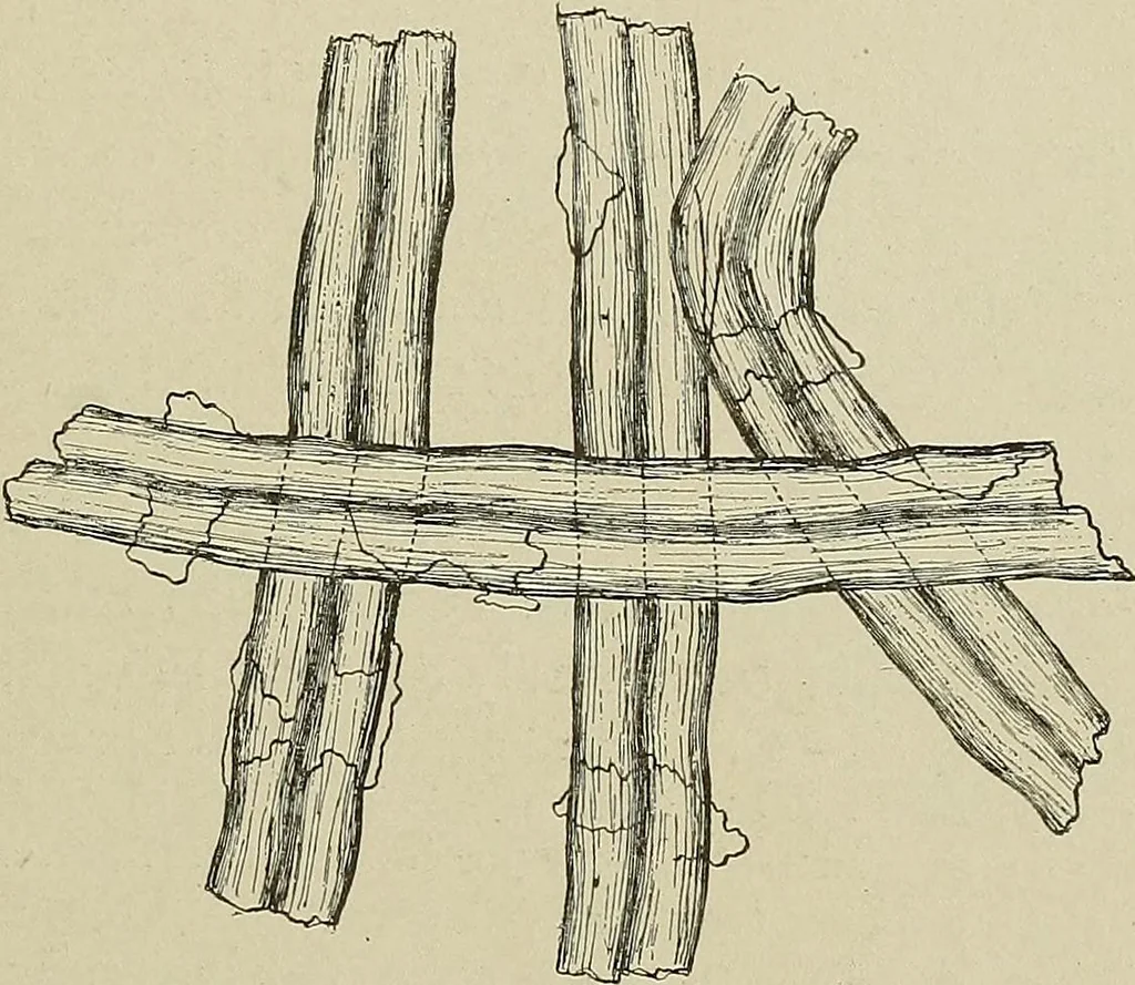An illustration from Cyclopedia of textile work : a general reference library on cotton, woolen and worsted yarn manufacture, weaving, designing, chemistry and dyeing, finishing, knitting, and allied subjects, 1911, leaf 55