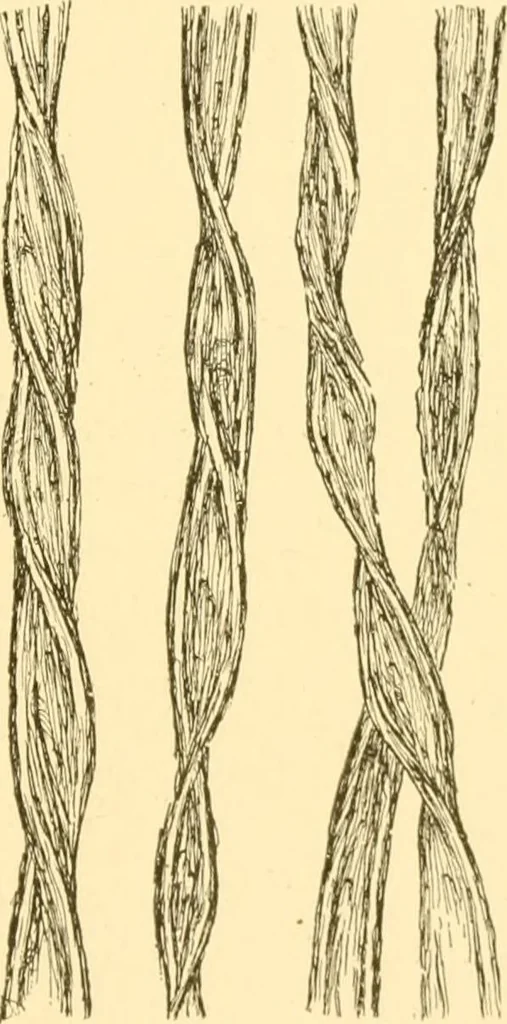 An illustration from Cyclopedia of textile work : a general reference library on cotton, woollen and worsted yarn manufacture, weaving, designing, chemistry and dyeing, finishing, knitting, and allied subjects, 1907, leaf 21