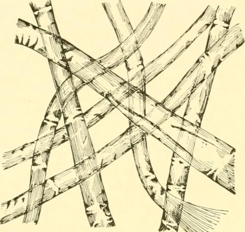 An illustration from Cyclopedia of textile work : a general reference library on cotton, woollen and worsted yarn manufacture, weaving, designing, chemistry and dyeing, finishing, knitting, and allied subjects, 1907, leaf 38