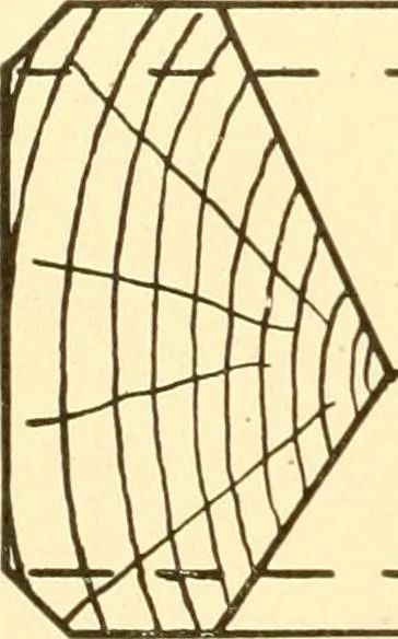 An illustration from Cyclopedia of textile work : a general reference library on cotton, woollen and worsted yarn manufacture, weaving, designing, chemistry and dyeing, finishing, knitting, and allied subjects, 1907, leaf 133