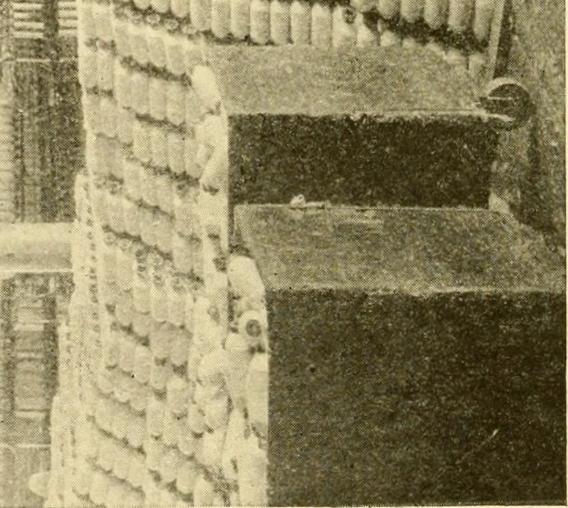 An illustration from Cyclopedia of textile work : a general reference library on cotton, woollen and worsted yarn manufacture, weaving, designing, chemistry and dyeing, finishing, knitting, and allied subjects, 1907, leaf 317