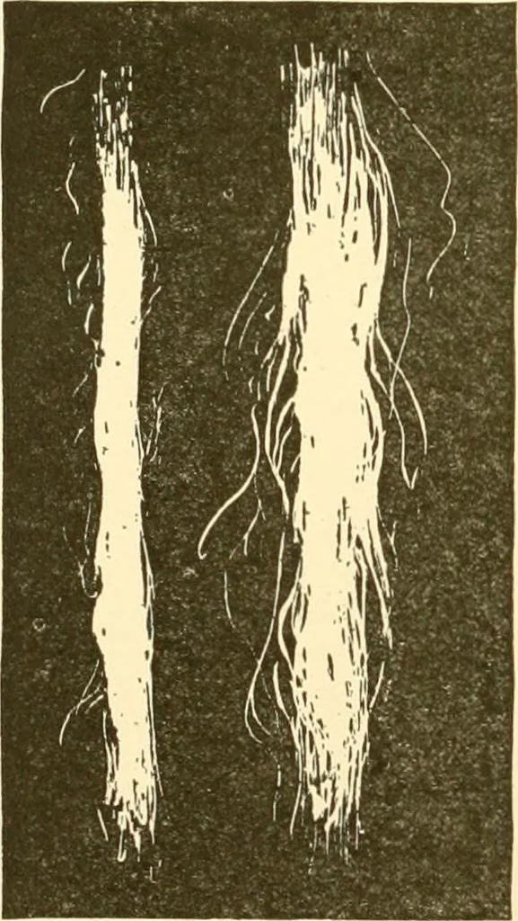 An illustration from Cyclopedia of textile work : a general reference library on cotton, woollen and worsted yarn manufacture, weaving, designing, chemistry and dyeing, finishing, knitting, and allied subjects, 1907, leaf 321