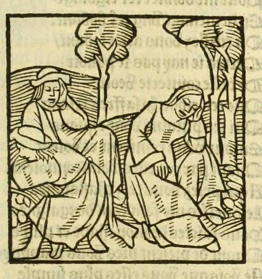 An illustration from Cy est le Romat de la roze, ou, Tout lart Damour est enclose : histoires et auctoritez et maintz beaulx propos vsitez qui a este nouuellement Corrige suffisantement et cotte bien a lauantaige com on voit en chascune page, 1526, leaf 127