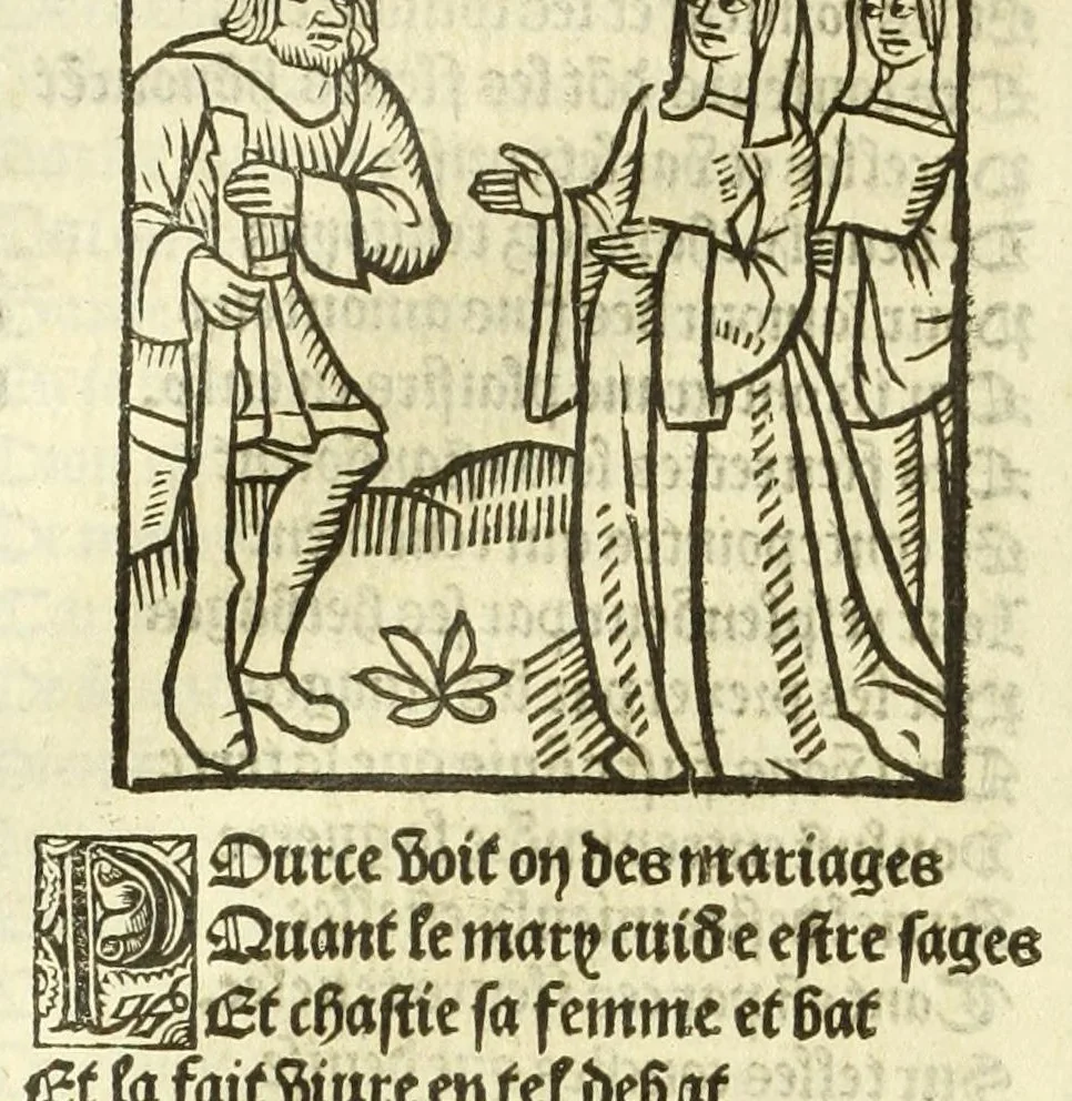 An illustration from Cy est le Romat de la roze, ou, Tout lart Damour est enclose : histoires et auctoritez et maintz beaulx propos vsitez qui a este nouuellement Corrige suffisantement et cotte bien a lauantaige com on voit en chascune page, 1526, leaf 128