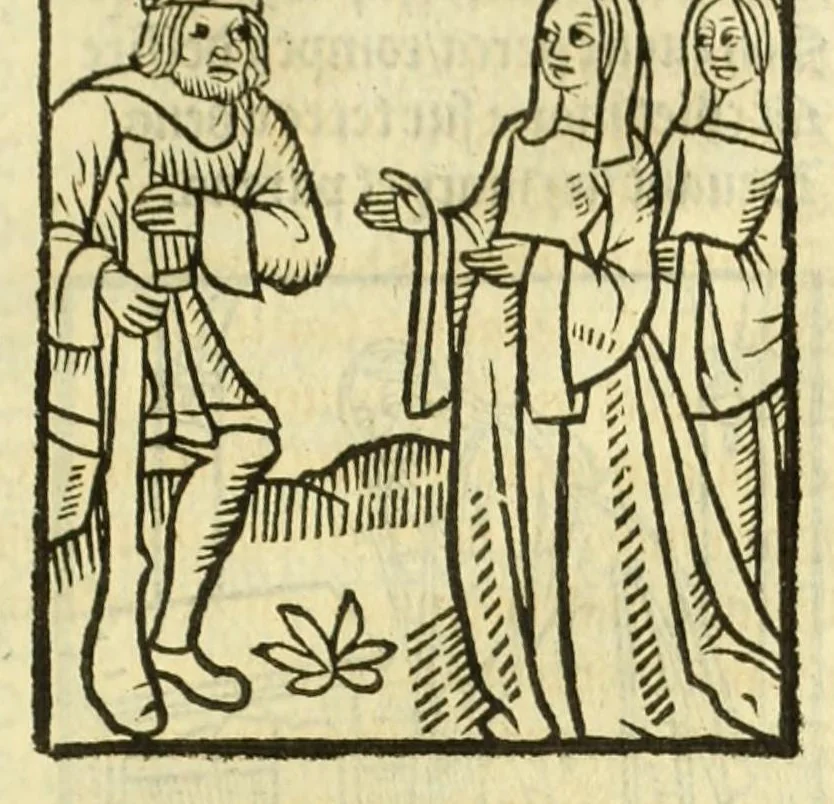 An illustration from Cy est le Romat de la roze, ou, Tout lart Damour est enclose : histoires et auctoritez et maintz beaulx propos vsitez qui a este nouuellement Corrige suffisantement et cotte bien a lauantaige com on voit en chascune page, 1526, leaf 129