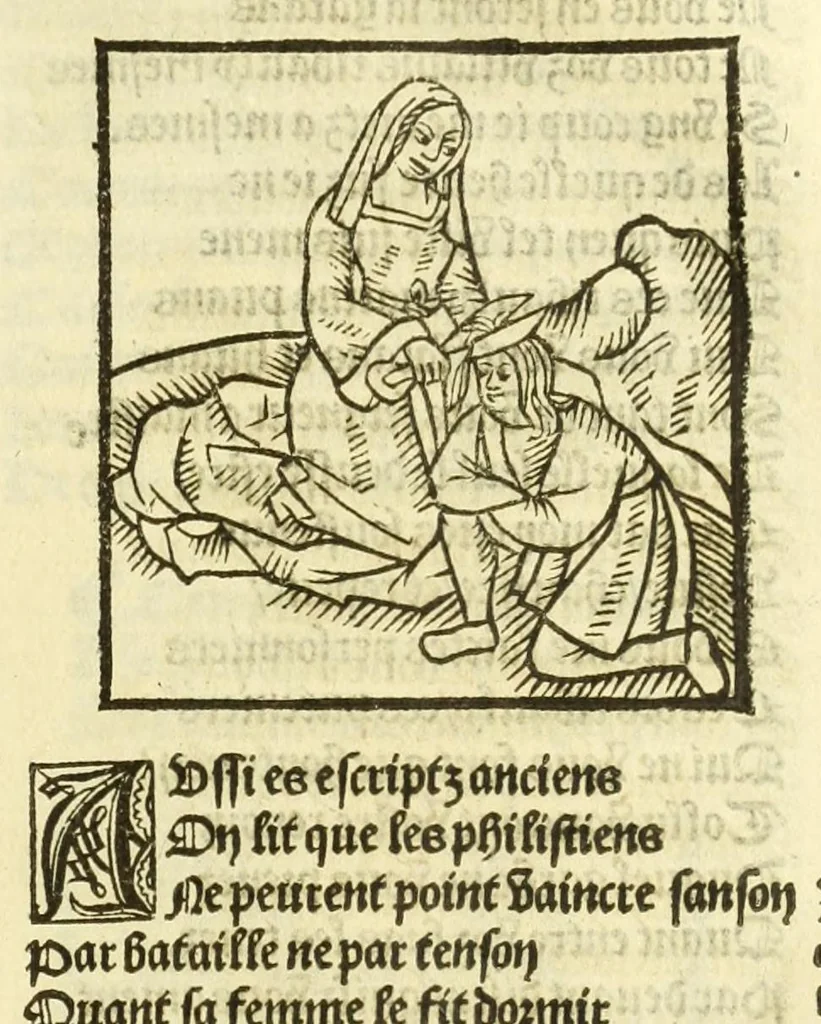 An illustration from Cy est le Romat de la roze, ou, Tout lart Damour est enclose : histoires et auctoritez et maintz beaulx propos vsitez qui a este nouuellement Corrige suffisantement et cotte bien a lauantaige com on voit en chascune page, 1526, leaf 137