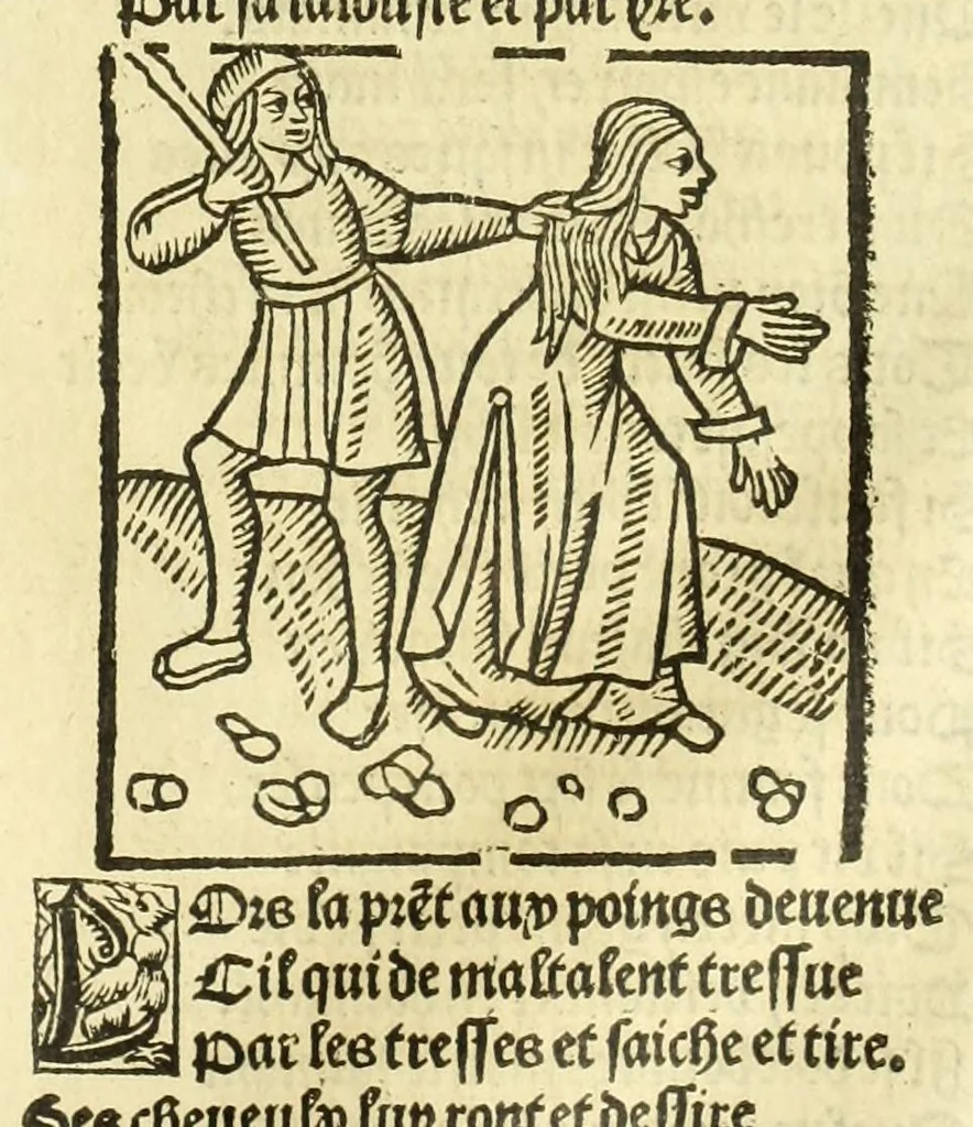 An illustration from Cy est le Romat de la roze, ou, Tout lart Damour est enclose : histoires et auctoritez et maintz beaulx propos vsitez qui a este nouuellement Corrige suffisantement et cotte bien a lauantaige com on voit en chascune page, 1526, leaf 139
