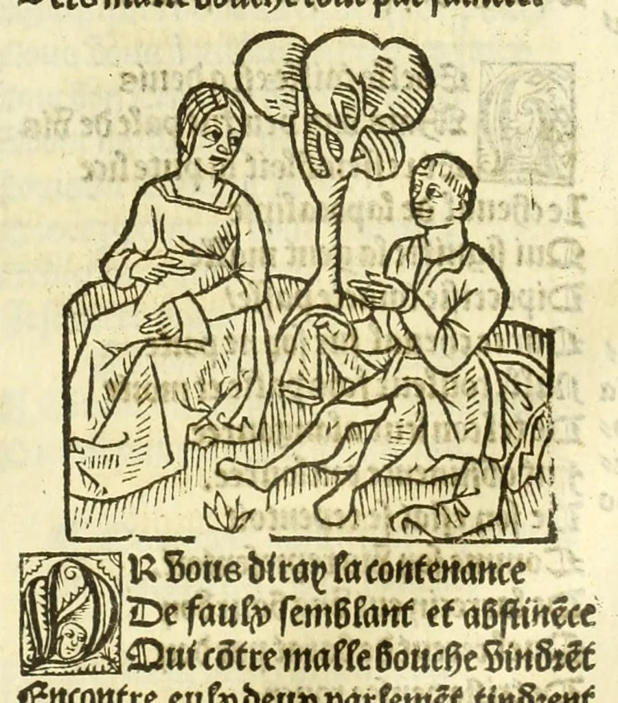 An illustration from Cy est le Romat de la roze, ou, Tout lart Damour est enclose : histoires et auctoritez et maintz beaulx propos vsitez qui a este nouuellement Corrige suffisantement et cotte bien a lauantaige com on voit en chascune page, 1526, leaf 175