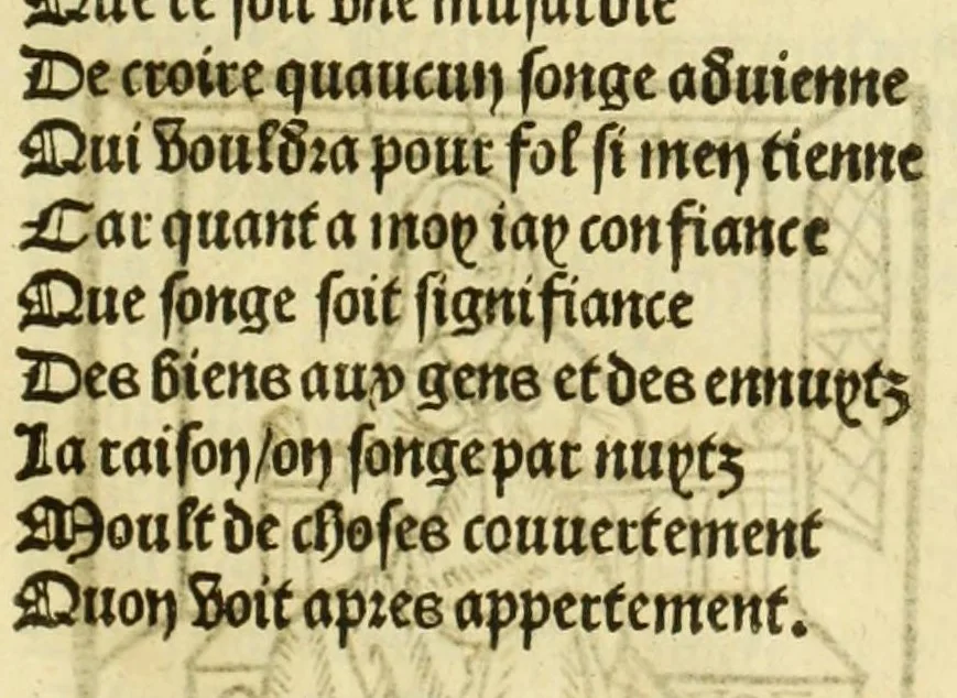 An illustration from Cy est le Romat de la roze, ou, Tout lart Damour est enclose : histoires et auctoritez et maintz beaulx propos vsitez qui a este nouuellement Corrige suffisantement et cotte bien a lauantaige com on voit en chascune page, 1526, leaf 19