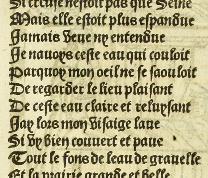 An illustration from Cy est le Romat de la roze, ou, Tout lart Damour est enclose : histoires et auctoritez et maintz beaulx propos vsitez qui a este nouuellement Corrige suffisantement et cotte bien a lauantaige com on voit en chascune page, 1526, leaf 20