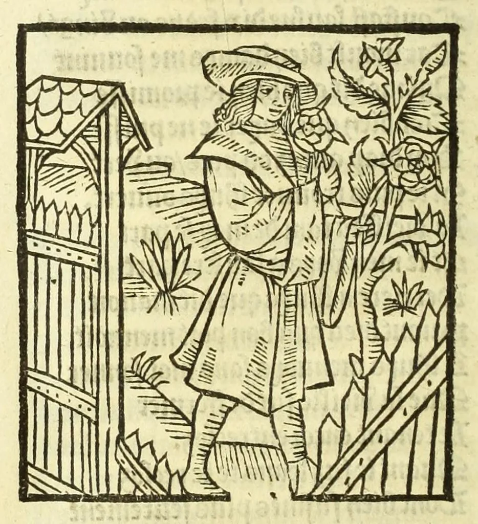 An illustration from Cy est le Romat de la roze, ou, Tout lart Damour est enclose : histoires et auctoritez et maintz beaulx propos vsitez qui a este nouuellement Corrige suffisantement et cotte bien a lauantaige com on voit en chascune page, 1526, leaf 210