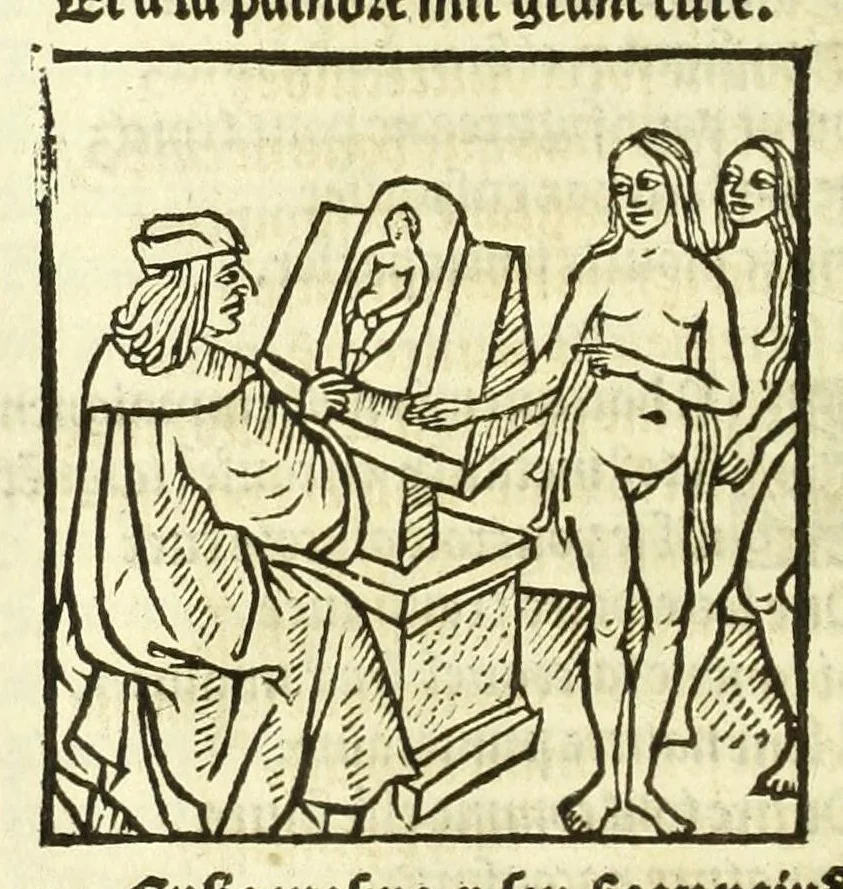 An illustration from Cy est le Romat de la roze, ou, Tout lart Damour est enclose : histoires et auctoritez et maintz beaulx propos vsitez qui a este nouuellement Corrige suffisantement et cotte bien a lauantaige com on voit en chascune page, 1526, leaf 228