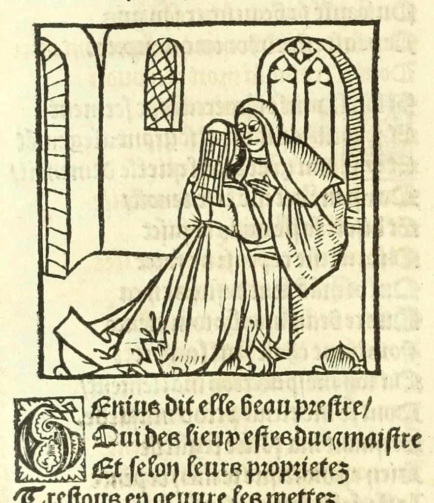 An illustration from Cy est le Romat de la roze, ou, Tout lart Damour est enclose : histoires et auctoritez et maintz beaulx propos vsitez qui a este nouuellement Corrige suffisantement et cotte bien a lauantaige com on voit en chascune page, 1526, leaf 230