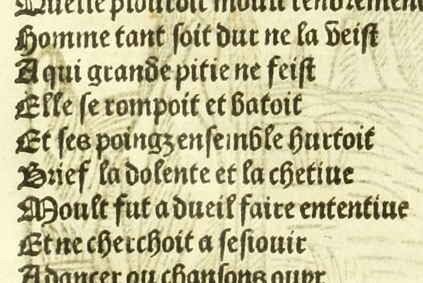An illustration from Cy est le Romat de la roze, ou, Tout lart Damour est enclose : histoires et auctoritez et maintz beaulx propos vsitez qui a este nouuellement Corrige suffisantement et cotte bien a lauantaige com on voit en chascune page, 1526, leaf 24