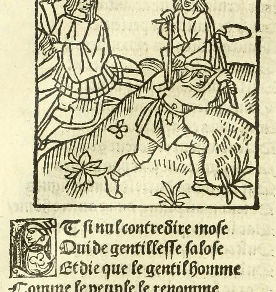 An illustration from Cy est le Romat de la roze, ou, Tout lart Damour est enclose : histoires et auctoritez et maintz beaulx propos vsitez qui a este nouuellement Corrige suffisantement et cotte bien a lauantaige com on voit en chascune page, 1526, leaf 258