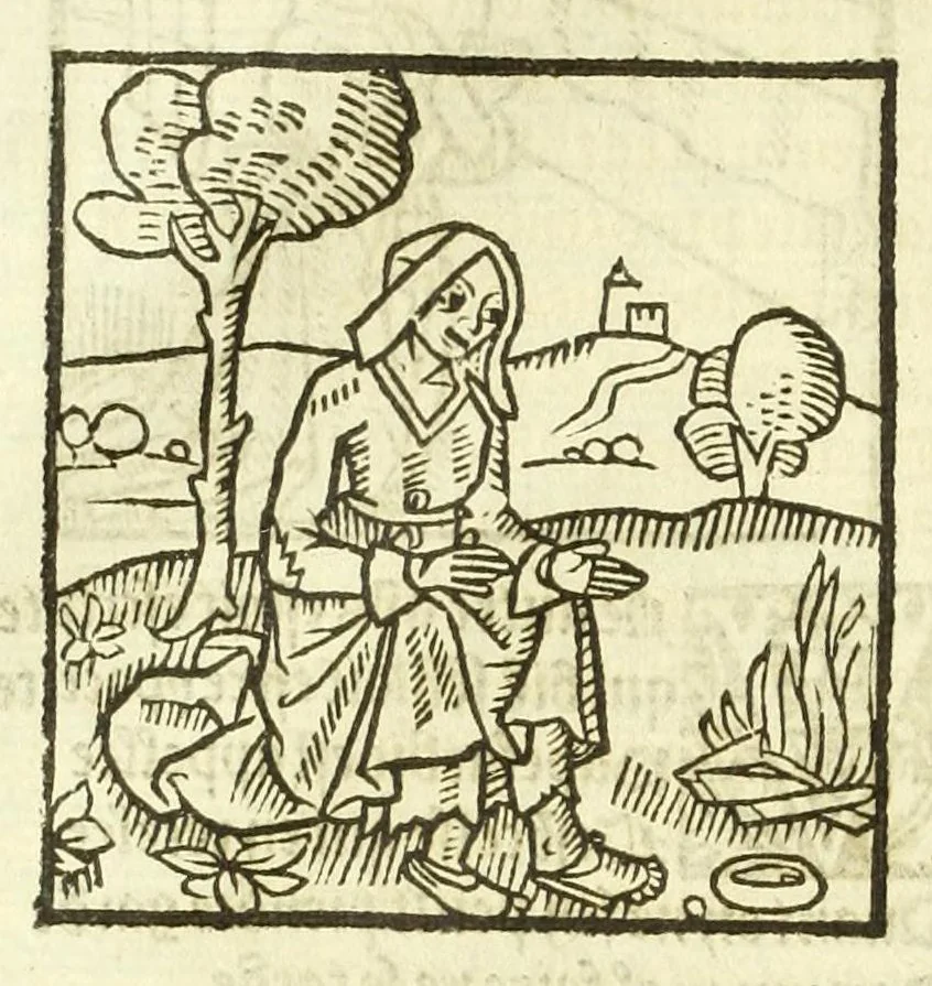 An illustration from Cy est le Romat de la roze, ou, Tout lart Damour est enclose : histoires et auctoritez et maintz beaulx propos vsitez qui a este nouuellement Corrige suffisantement et cotte bien a lauantaige com on voit en chascune page, 1526, leaf 26