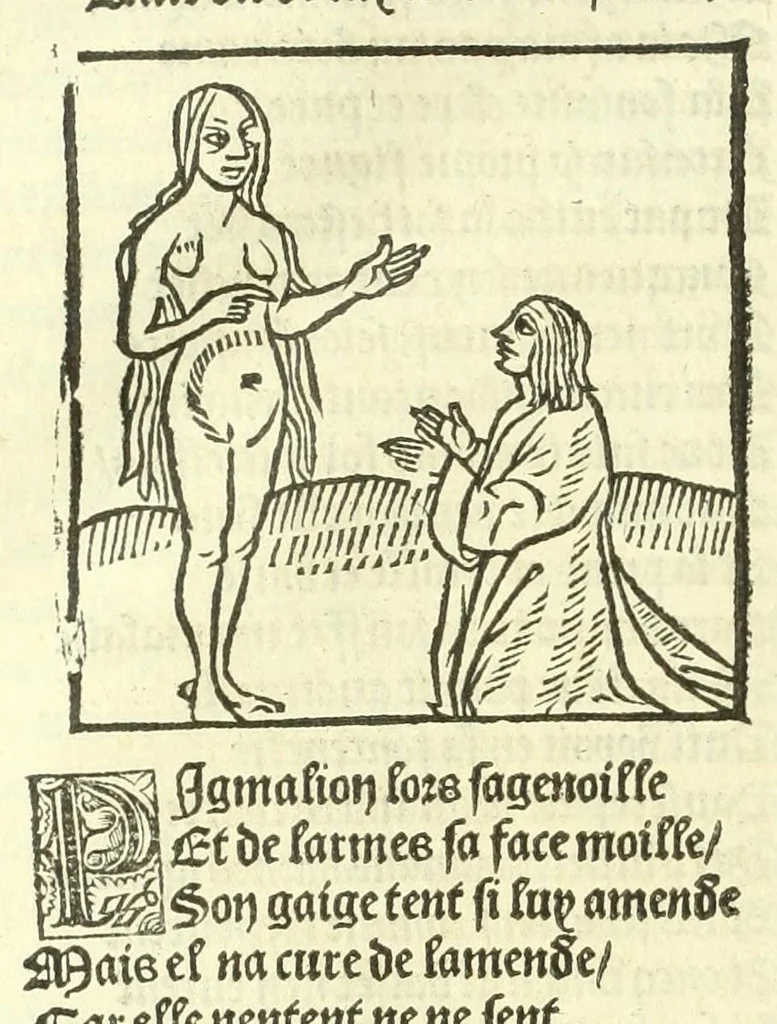 An illustration from Cy est le Romat de la roze, ou, Tout lart Damour est enclose : histoires et auctoritez et maintz beaulx propos vsitez qui a este nouuellement Corrige suffisantement et cotte bien a lauantaige com on voit en chascune page, 1526, leaf 282