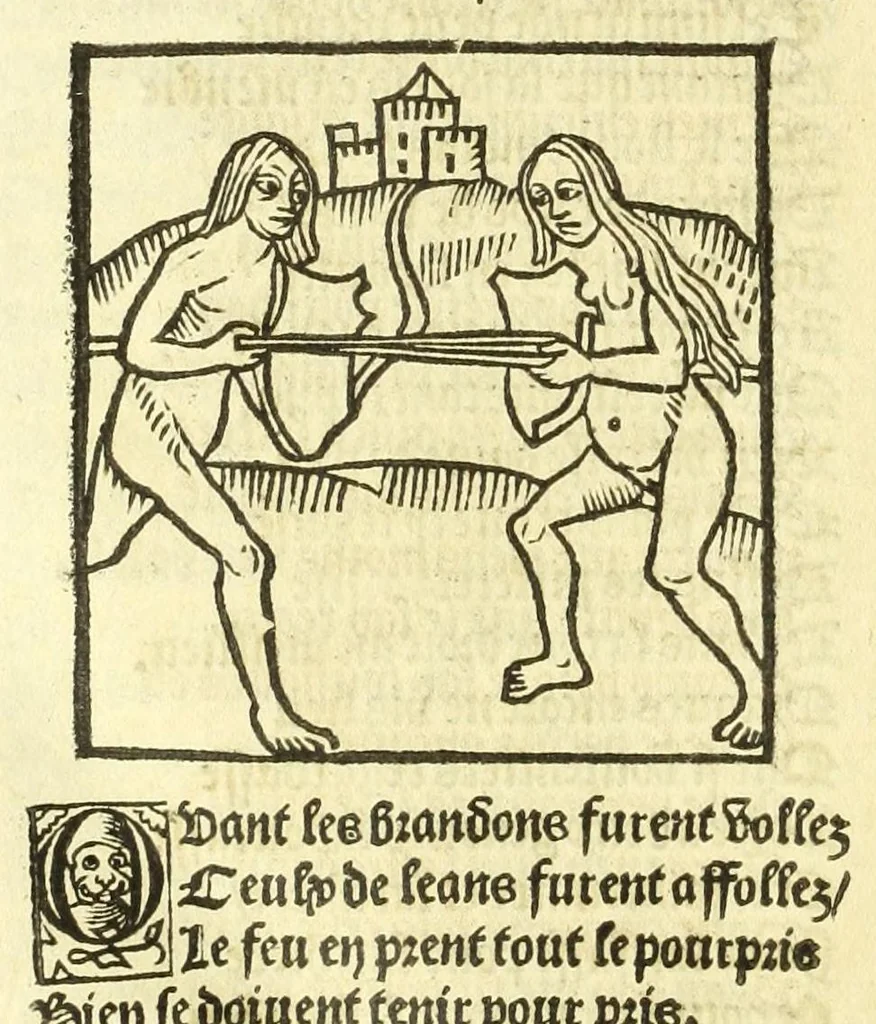 An illustration from Cy est le Romat de la roze, ou, Tout lart Damour est enclose : histoires et auctoritez et maintz beaulx propos vsitez qui a este nouuellement Corrige suffisantement et cotte bien a lauantaige com on voit en chascune page, 1526, leaf 286