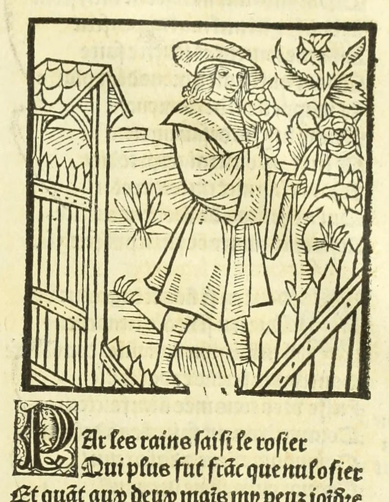 An illustration from Cy est le Romat de la roze, ou, Tout lart Damour est enclose : histoires et auctoritez et maintz beaulx propos vsitez qui a este nouuellement Corrige suffisantement et cotte bien a lauantaige com on voit en chascune page, 1526, leaf 291