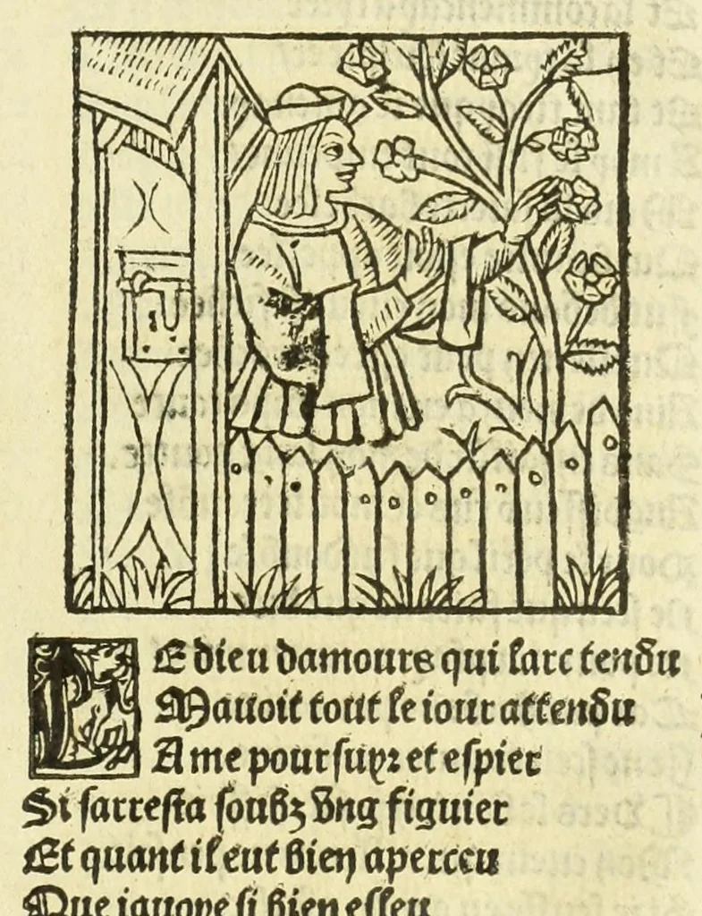 An illustration from Cy est le Romat de la roze, ou, Tout lart Damour est enclose : histoires et auctoritez et maintz beaulx propos vsitez qui a este nouuellement Corrige suffisantement et cotte bien a lauantaige com on voit en chascune page, 1526, leaf 41