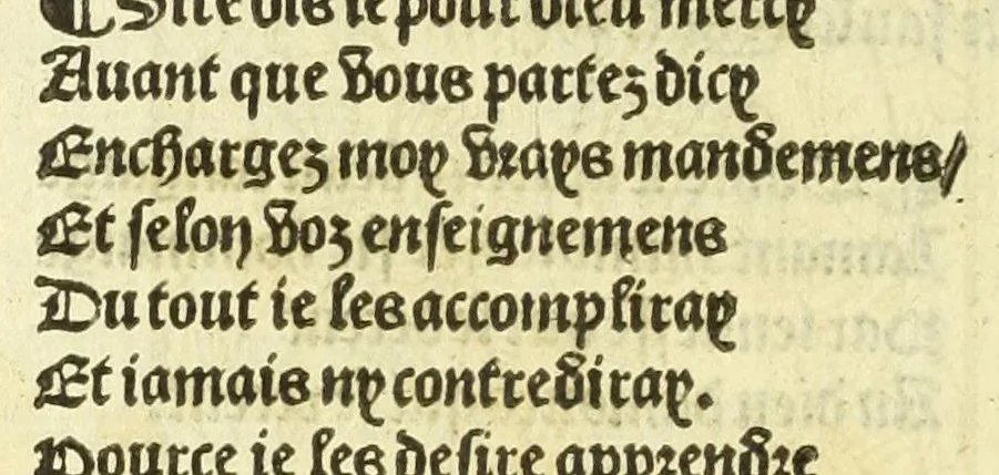 An illustration from Cy est le Romat de la roze, ou, Tout lart Damour est enclose : histoires et auctoritez et maintz beaulx propos vsitez qui a este nouuellement Corrige suffisantement et cotte bien a lauantaige com on voit en chascune page, 1526, leaf 46