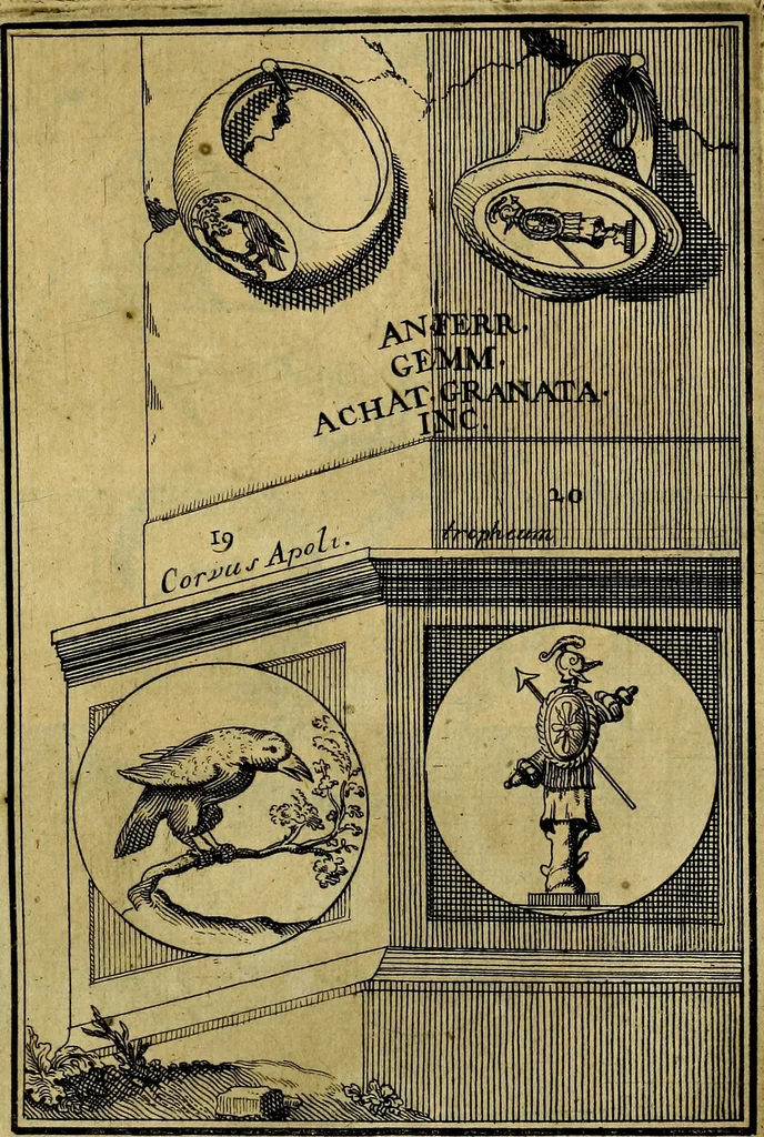 An illustration from Dactyliothecae, seu Annulorum sigillarium quorum priscos tam Graecos quam Romanos usus, ex ferro, aere, argento & auro promptuarii ... Collectis aliunde & ineditis & editis annulorum figuris auctior;, 1695, leaf 104
