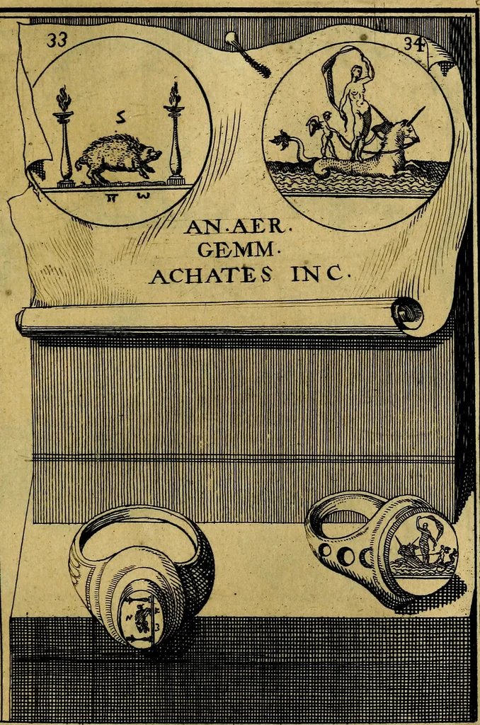 An illustration from Dactyliothecae, seu Annulorum sigillarium quorum priscos tam Graecos quam Romanos usus, ex ferro, aere, argento & auro promptuarii ... Collectis aliunde & ineditis & editis annulorum figuris auctior;, 1695, leaf 118
