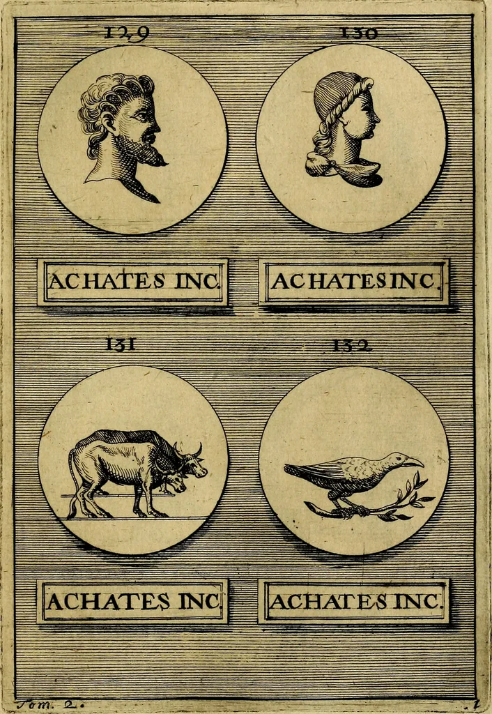 An illustration from Dactyliothecae, seu Annulorum sigillarium quorum priscos tam Graecos quam Romanos usus, ex ferro, aere, argento & auro promptuarii ... Collectis aliunde & ineditis & editis annulorum figuris auctior;, 1695, leaf 432