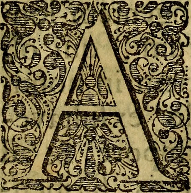 An illustration from Dactyliothecae, seu Annulorum sigillarium quorum priscos tam Graecos quam Romanos usus, ex ferro, aere, argento & auro promptuarii ... Collectis aliunde & ineditis & editis annulorum figuris auctior;, 1695, leaf 44
