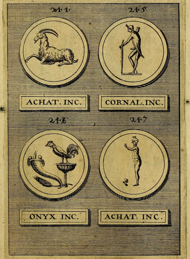 An illustration from Dactyliothecae, seu Annulorum sigillarium quorum priscos tam Graecos quam Romanos usus, ex ferro, aere, argento & auro promptuarii ... Collectis aliunde & ineditis & editis annulorum figuris auctior;, 1695, leaf 490