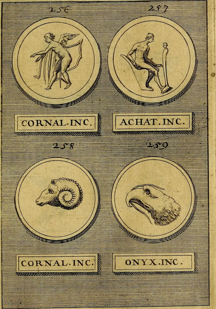 An illustration from Dactyliothecae, seu Annulorum sigillarium quorum priscos tam Graecos quam Romanos usus, ex ferro, aere, argento & auro promptuarii ... Collectis aliunde & ineditis & editis annulorum figuris auctior;, 1695, leaf 496
