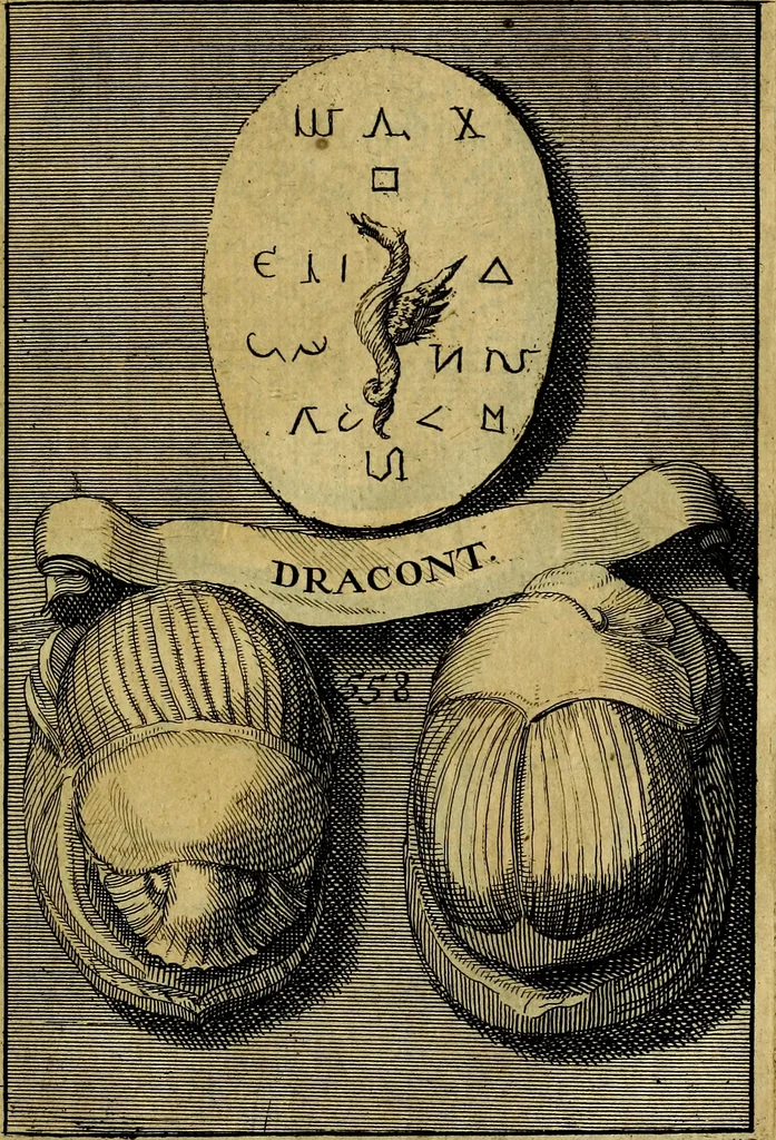An illustration from Dactyliothecae, seu Annulorum sigillarium quorum priscos tam Graecos quam Romanos usus, ex ferro, aere, argento & auro promptuarii ... Collectis aliunde & ineditis & editis annulorum figuris auctior;, 1695, leaf 648