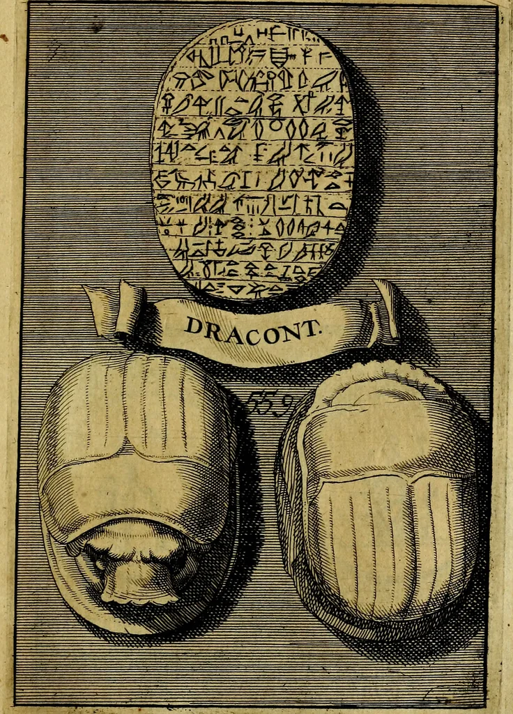 An illustration from Dactyliothecae, seu Annulorum sigillarium quorum priscos tam Graecos quam Romanos usus, ex ferro, aere, argento & auro promptuarii ... Collectis aliunde & ineditis & editis annulorum figuris auctior;, 1695, leaf 650
