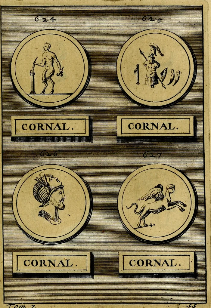 An illustration from Dactyliothecae, seu Annulorum sigillarium quorum priscos tam Graecos quam Romanos usus, ex ferro, aere, argento & auro promptuarii ... Collectis aliunde & ineditis & editis annulorum figuris auctior;, 1695, leaf 684