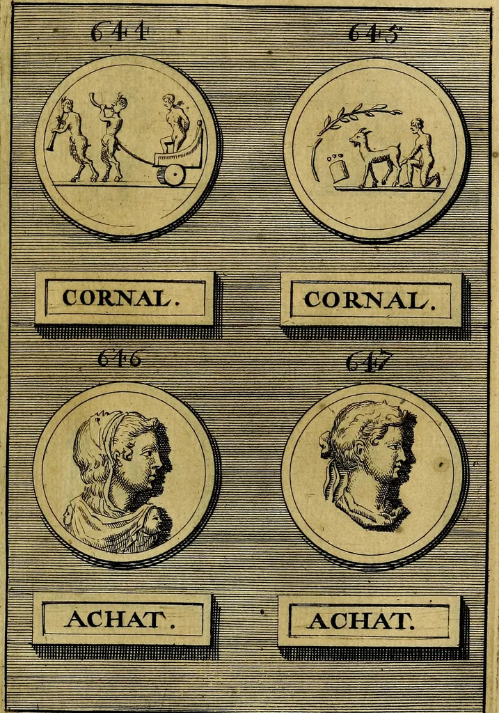 An illustration from Dactyliothecae, seu Annulorum sigillarium quorum priscos tam Graecos quam Romanos usus, ex ferro, aere, argento & auro promptuarii ... Collectis aliunde & ineditis & editis annulorum figuris auctior;, 1695, leaf 694