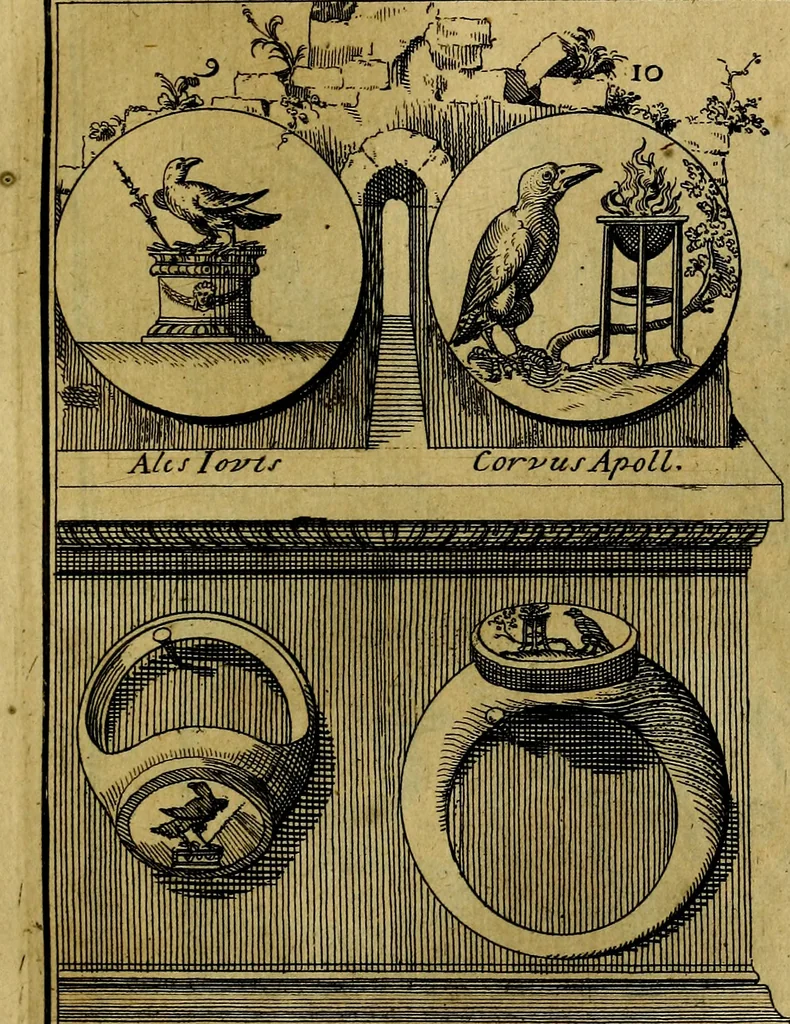 An illustration from Dactyliothecae, seu Annulorum sigillarium quorum priscos tam Graecos quam Romanos usus, ex ferro, aere, argento & auro promptuarii ... Collectis aliunde & ineditis & editis annulorum figuris auctior;, 1695, leaf 94